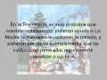 videos de El Maltrato a la Mujer.