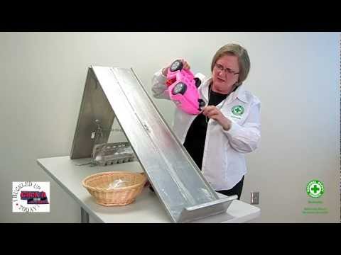 how to make a seat belt for an egg