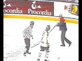Swedish elite hockey - hooligans fight