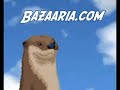 Dramatic Otter als virale Videoantwort auf Dramatic Chipmunk