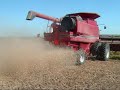 cutting soybeans in iowa.