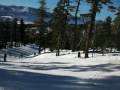 Coming Down the Mountain!!! Coming Down the Mountain!!!