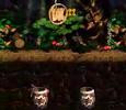 DKC2 - All 40 DK Coin locations
