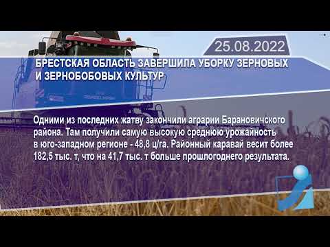 Новостная лента Телеканала Интекс 25.08.22.