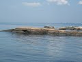 Thimble Islands Branford Thimble Islands Branford