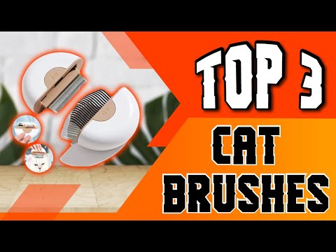 Best Cat Brushes  [According to a Groomer]