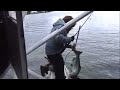 King salmon fishing from float plane alaska