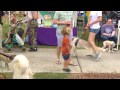 Barktoberfest