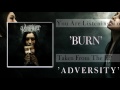 Visioner - Burn