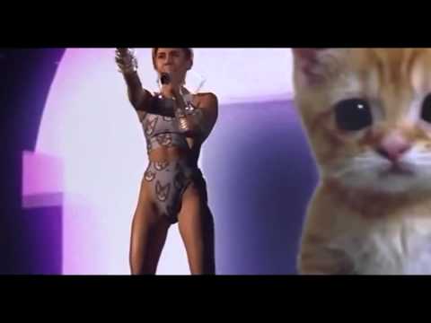 MYLIE CYRUS CAMELTOE