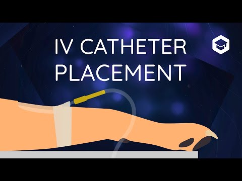 IV Catheter Placement in Dogs