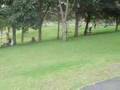 Parque Dona Lindu parte 1