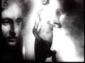 Evolution & the Occult-1