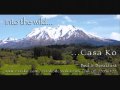 Puerto Varas 2009