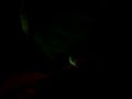 O ataqui dos loucos (1)