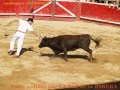 FIESTAS DE CORTES SAN MIGUEL 2007
