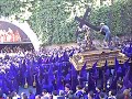 turbas miserere 2008