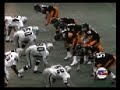 Immaculate reception