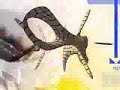 Vibrasphere Music Video - In Control [Radio Edit]