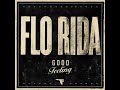 Flo Rida - Feeling Good