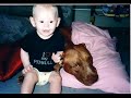 save the pit bull