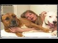 save the pit bull