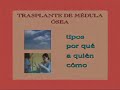 Amanece: transplante autólogo de médula ósea (1/5)