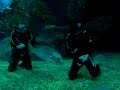 Planet Scuba - Dive with the Sharks 6/7