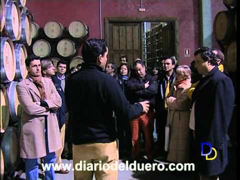 Imagen de previsualización de YouTube
