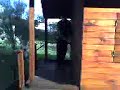vamos d epaseo