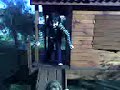 vamos d epaseo