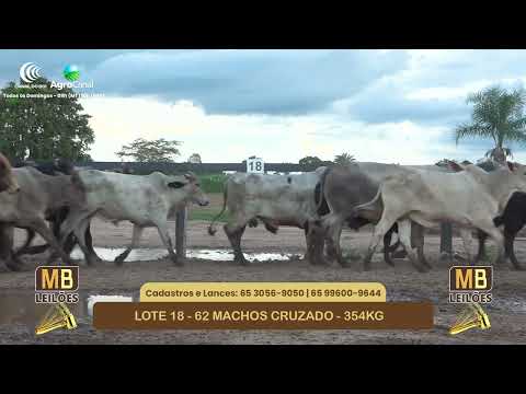 536� LEIL�O VIRTUAL MB LEIL�ES