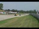 Lotus Chasing
