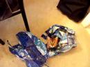 Cat in a Bag