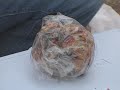 Operation Fruitcake - Squirrel fed fruitcake at over 200mph