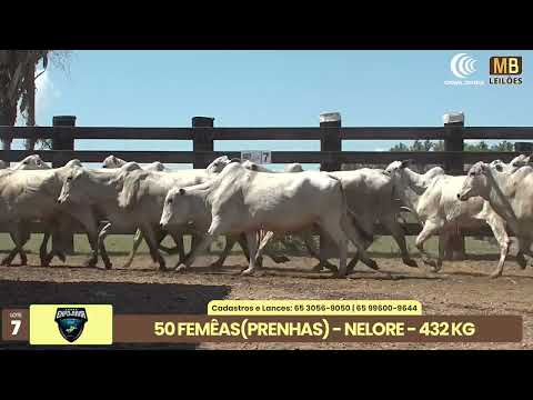 1� LEIL�O EXPOJUINA - 2026
