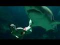 Sharks in Deep Trouble