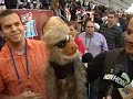 celebrities-and-soothsayers-at-super-bowl-xlii-media-day.html