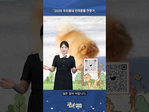 반려견 무료 교육+자격증까지 한 번에! | [2026 우리동네 반려동물 전문가] - 관악 별별뉴스 이미지