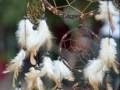 Dreamcatcher...Music By Cusco
