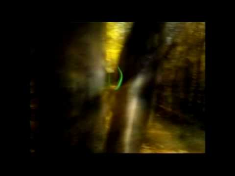 Youtube Video UoGcYdoXYas