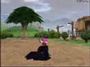 Rola's Mabinogi Life Rola's Mabinogi Life