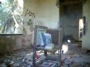 Wili en ladrillo