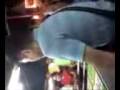 my video