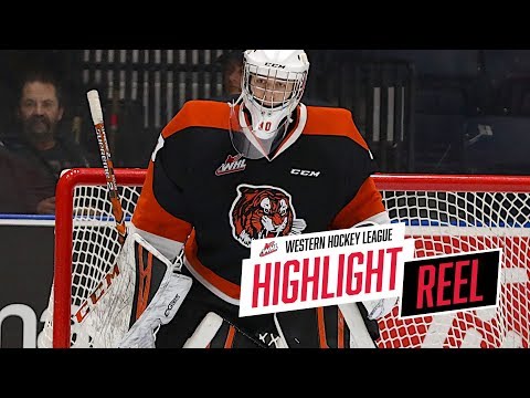 2018-19 HIGHLIGHT REEL | Mads Søgaard