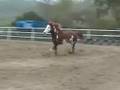 Jesse at Play!.wmv