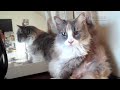 YouTubeサムネイル[UoNh9rRZ9xc] - 2枚目