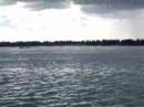 Dauphins du Mekong