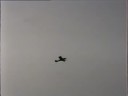 Gadfly in Geneseo, NY 1994