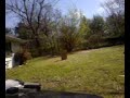 ME SHOOTING MY CROSMAN STINGER R34 ME SHOOTING MY CROSMAN STINGER R34